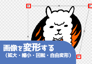 画像を変形する（拡大・縮小・回転・自由変形）