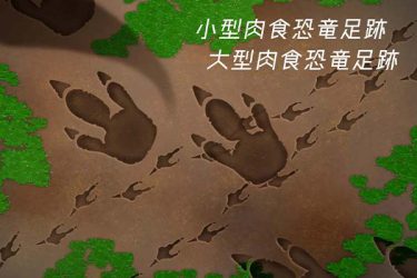 ブラシ：小型肉食恐竜足跡、大型肉食恐竜足跡
