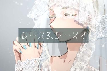 ブラシ：レース3、レース4