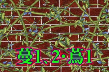 ブラシ：蔓（ツル）・蔦（ツタ）