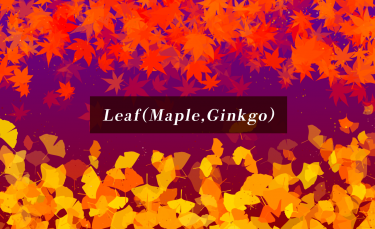 Brush : Leaf(Maple), Leaf(Ginkgo)