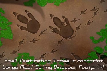 Brush :Small Meat-Eating Dinosaur Footprint,Large Meat-Eating Dinosaur Footprint
