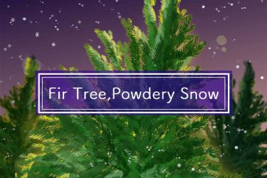 Brush :Fir Tree,Powdery Snow