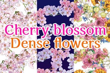 Brush：Cherry blossom, Dense flowers