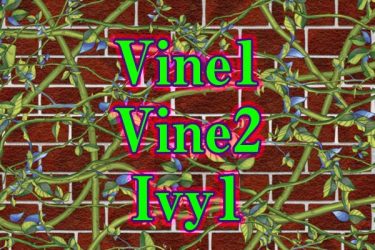 Brush：‘Vine1,2′ & ‘Ivy1′